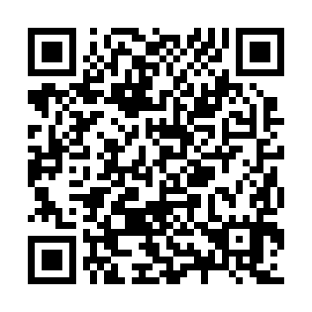 QR code for Z92295