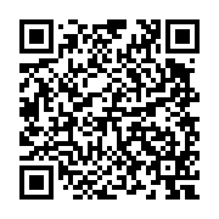 QR code for Z92495