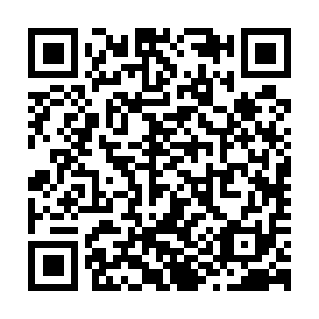 QR code for Z92511