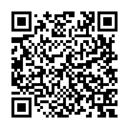 QR code for Z92971