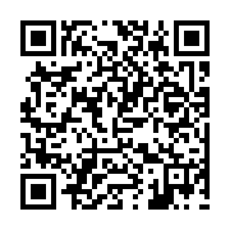 QR code for Z93125
