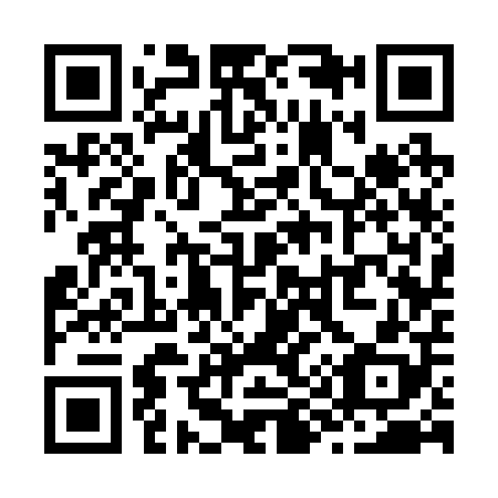 QR code for Z93208