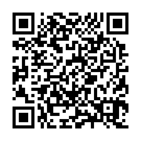 QR code for Z93305