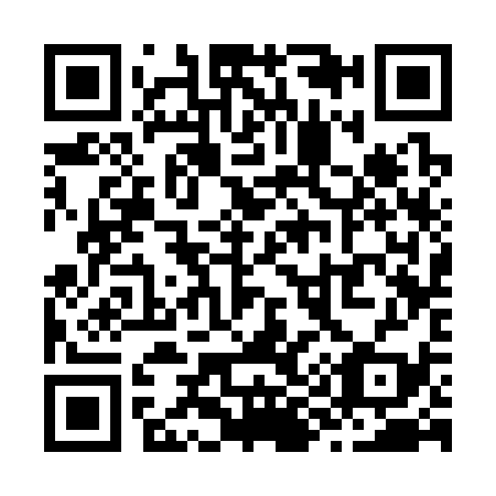 QR code for Z93339