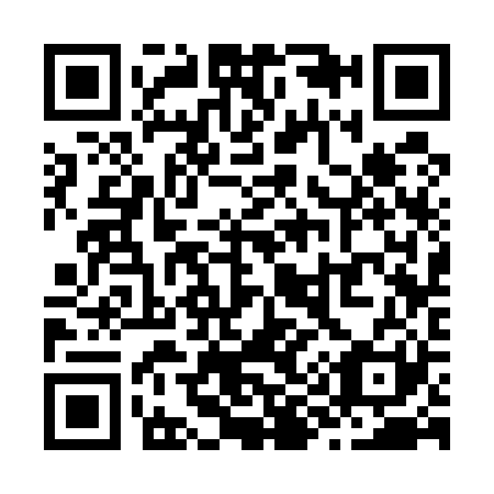 QR code for Z93521