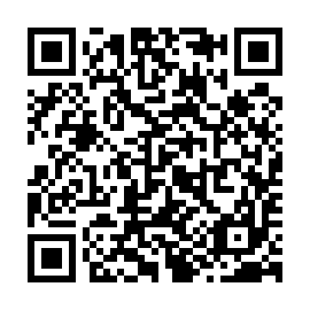 QR code for Z93597
