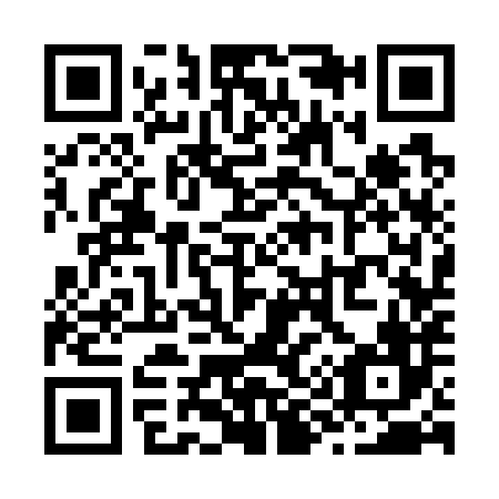 QR code for Z93786