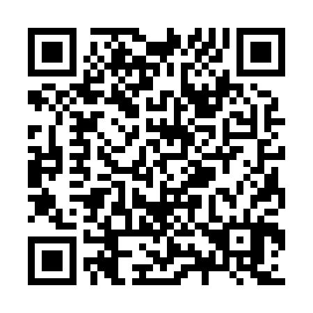 QR code for Z93804