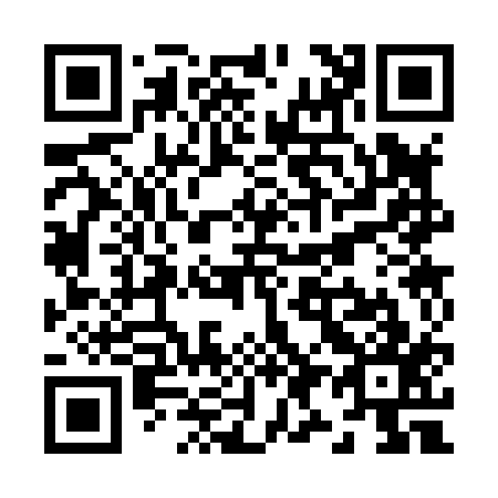 QR code for Z93817