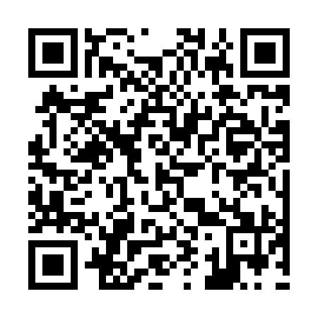 QR code for Z93891
