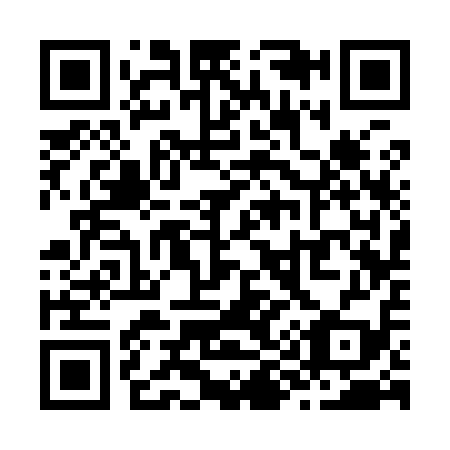 QR code for Z93919