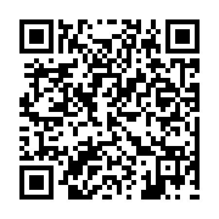 QR code for Z93973