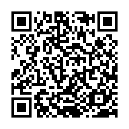 QR code for Z94125