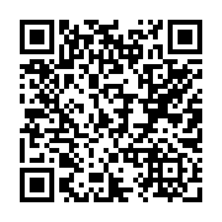QR code for Z94299