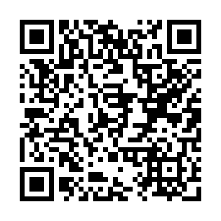 QR code for Z94308