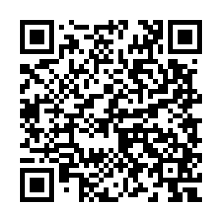QR code for Z94541