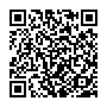 QR code for Z94738