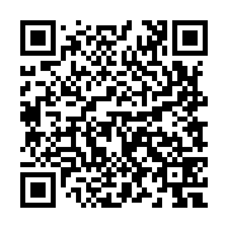 QR code for Z94979