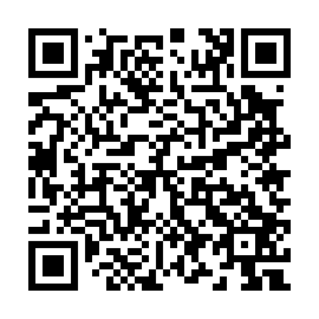 QR code for Z95003