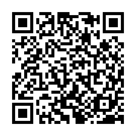 QR code for Z95151