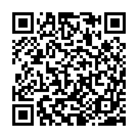 QR code for Z95153