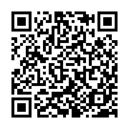 QR code for Z95180