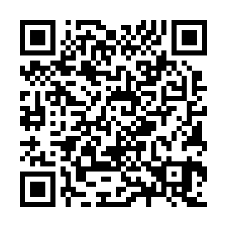 QR code for Z95221
