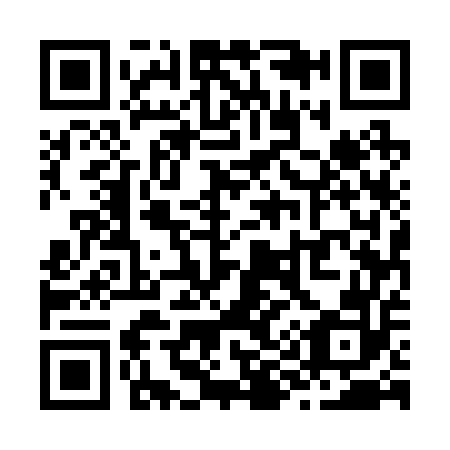 QR code for Z95252