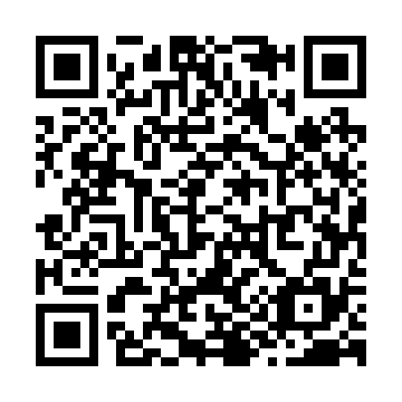 QR code for Z95275