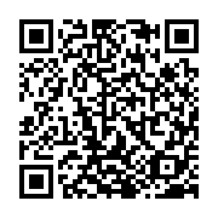 QR code for Z95358