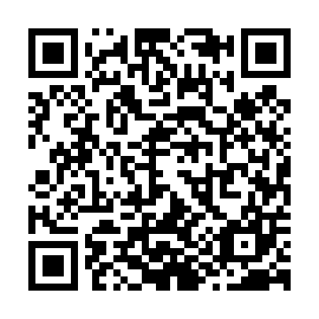 QR code for Z95407