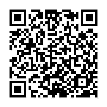 QR code for Z95500
