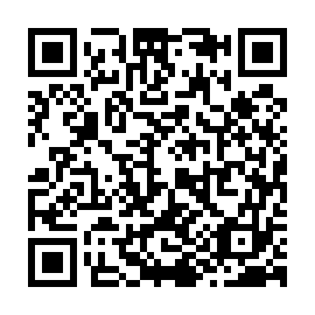 QR code for Z95573