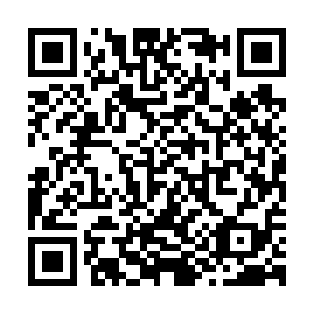 QR code for Z95619