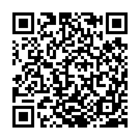 QR code for Z95652