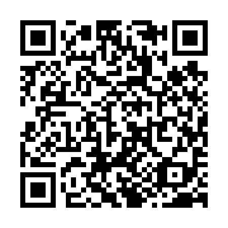 QR code for Z95699
