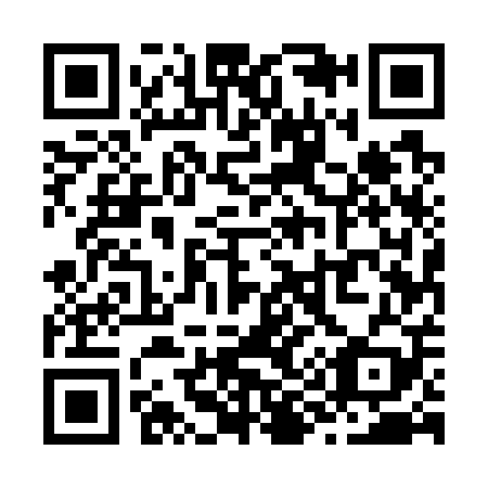 QR code for Z95709