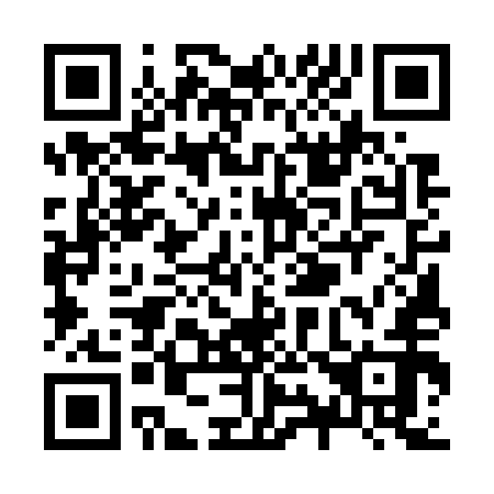 QR code for Z95752