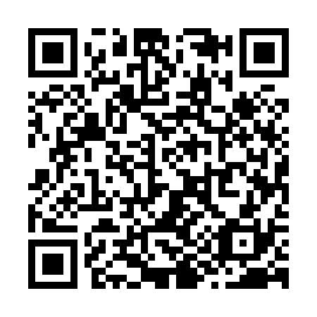 QR code for Z95830