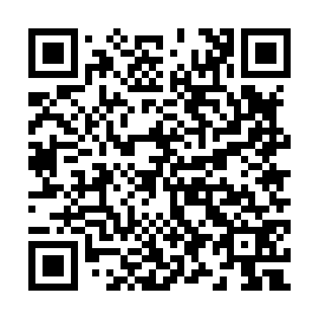 QR code for Z95872