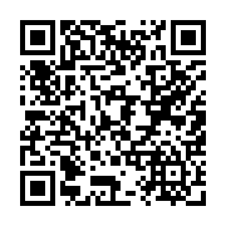 QR code for Z95925