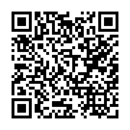 QR code for Z95929