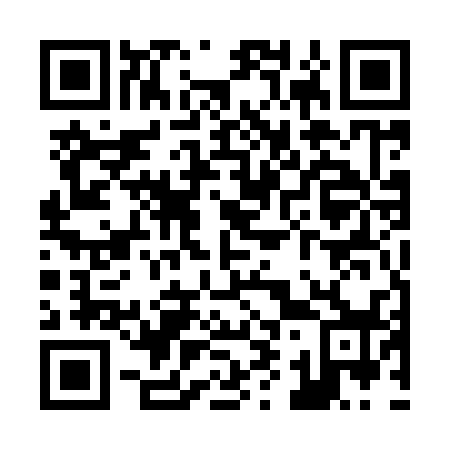 QR code for Z95938