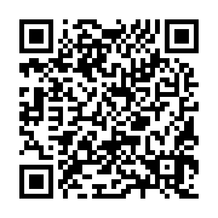 QR code for Z95947