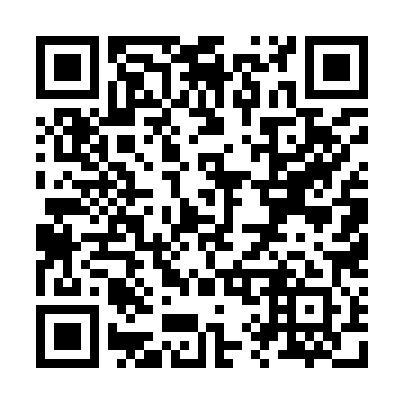 QR code for Z95981