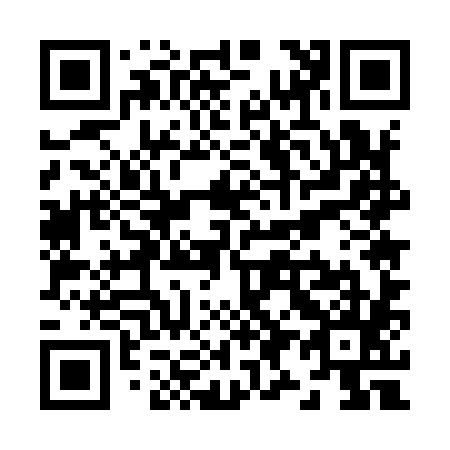 QR code for Z95985