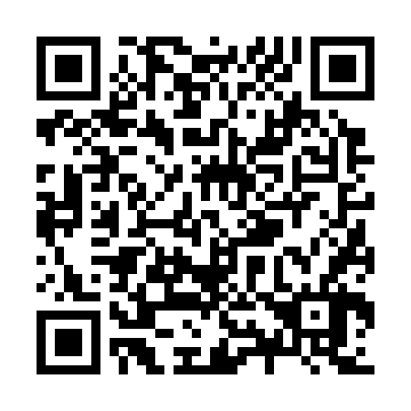 QR code for Z96366