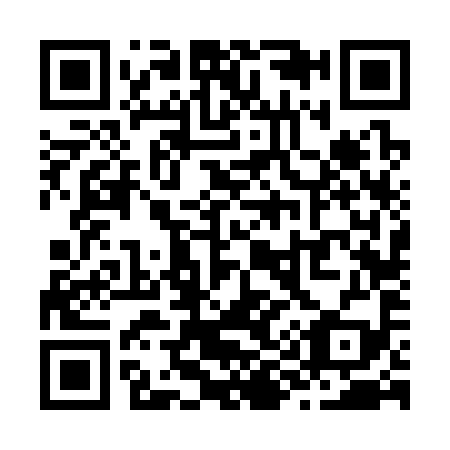 QR code for Z96399