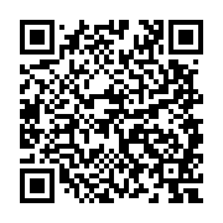 QR code for Z96581
