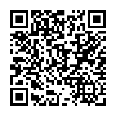 QR code for Z97374